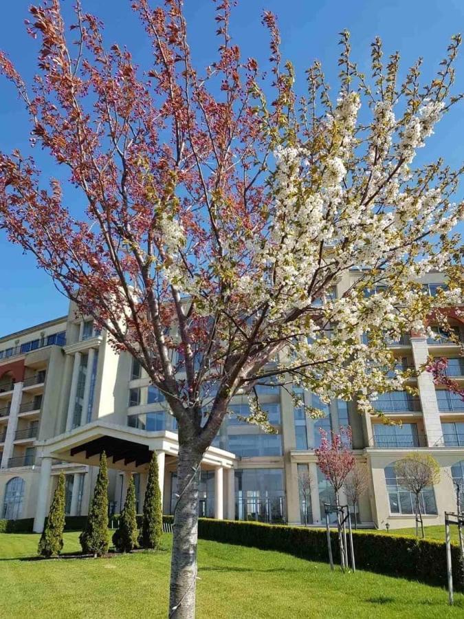 Lighthouse 3 Bedrooms Villa F36 Baltschik Exterior foto